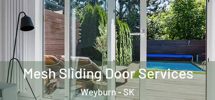 Mesh Sliding Door Services Weyburn - SK